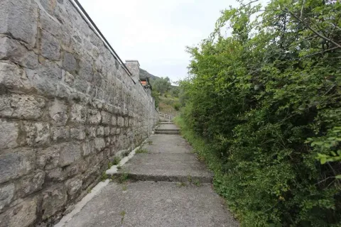 Kamena staza sa stepenicama pored kamenog zida okružena zelenilom. - image 6