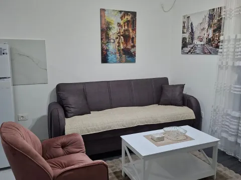 Rent, one bedroom apartment, 34m², Zabjelo, Podgorica - image 6