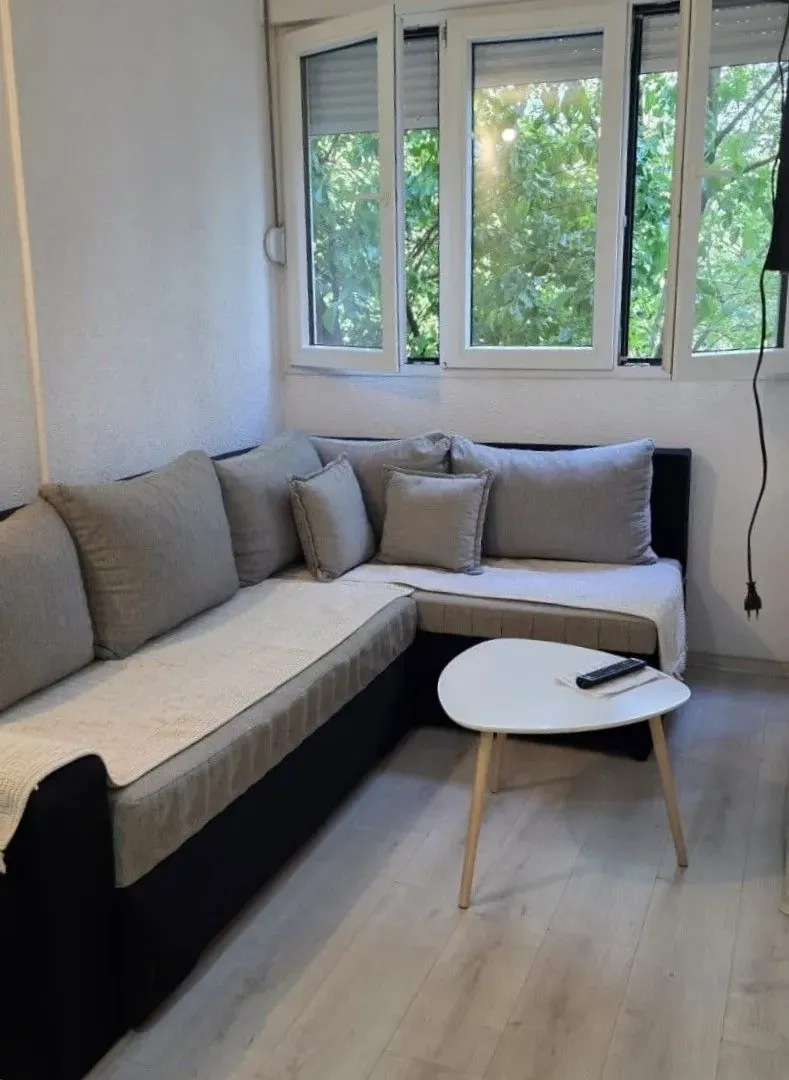 Rent, one bedroom apartment, 31m², Zabjelo, Podgorica