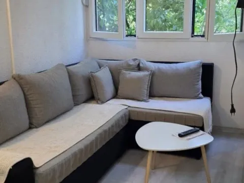 Rent, one bedroom apartment, 31m², Zabjelo, Podgorica - image 4