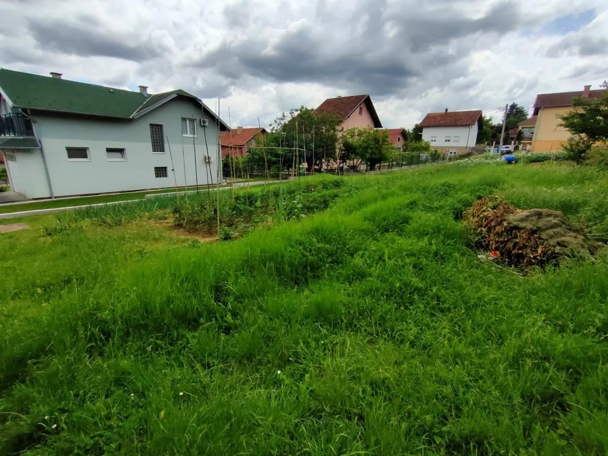 Prodaja, plac, 1000m², Sremska Kamenica, Petrovaradin