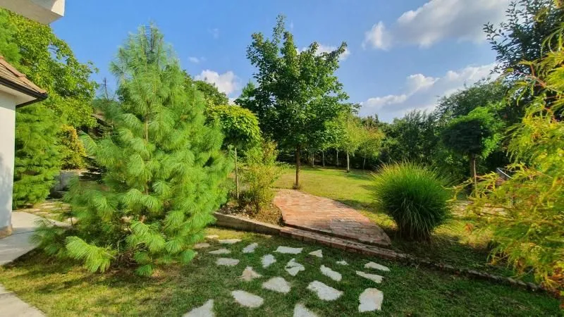 Prodaja, kuća, 167m², Banja Vrdnik, Irig