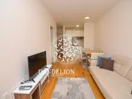 Izdavanje, jednosoban stan, 45m², Central Point, Podgorica - image 11