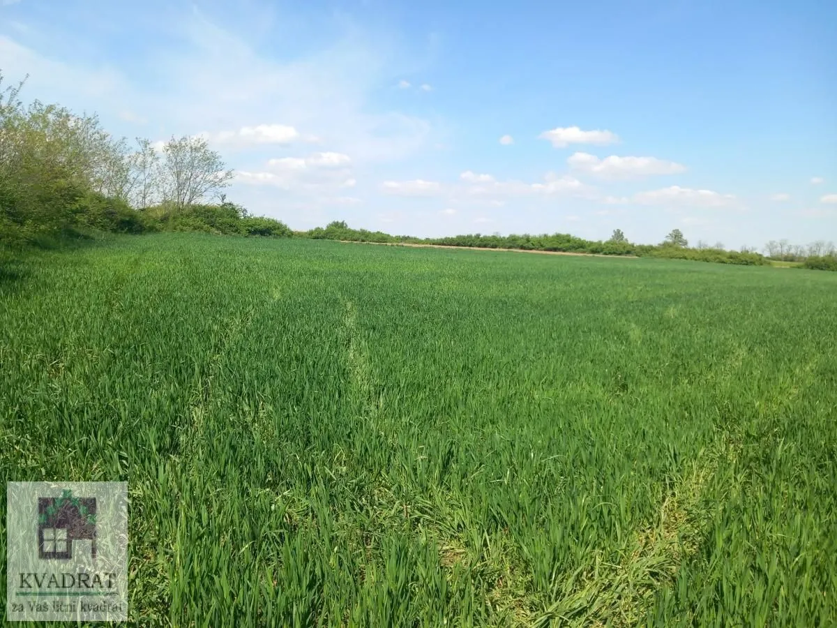 Prodaja, plac, 7600m², Obrenovac, Beograd