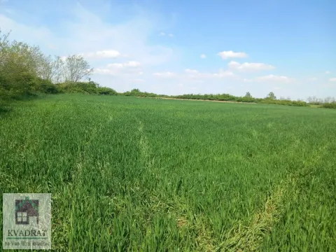 Prodaja, plac, 7600m², Obrenovac, Beograd - image 2