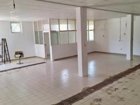 Izdavanje, poslovni prostor, 200m², Dajbabe, Podgorica - image 4