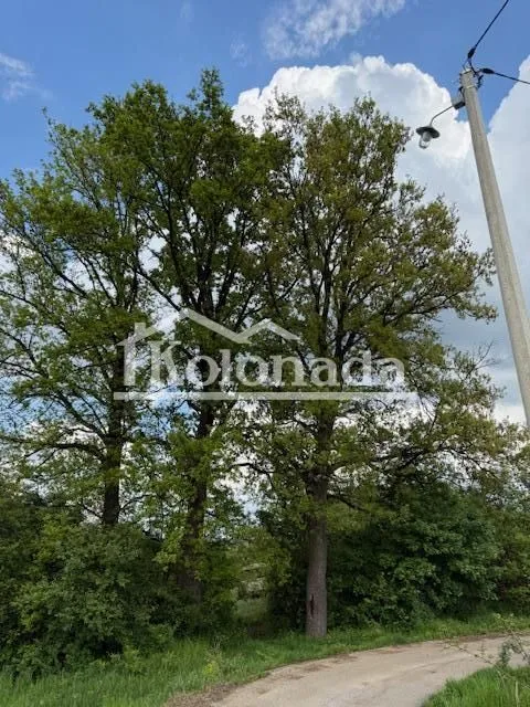 Prodaja, plac, 5436m², Amerić, Mladenovac