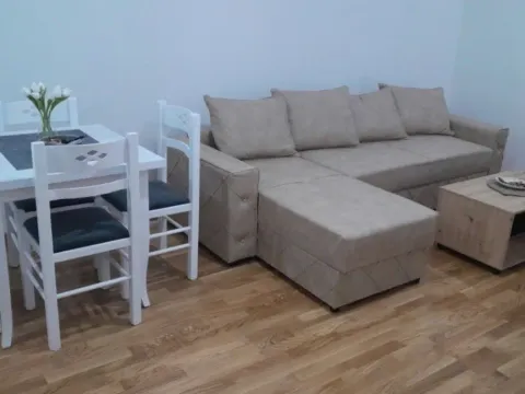 Izdavanje, jednosoban stan, 43m², Zabjelo, Podgorica - image 7