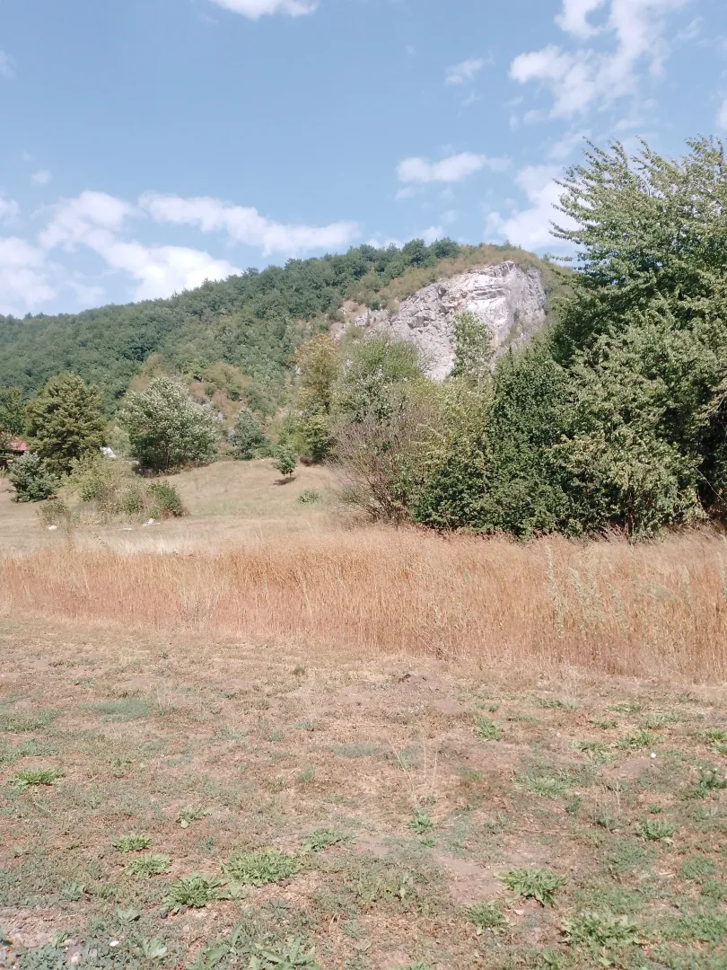 Pogled na prirodno okruženje sa travnatom površinom i šumom u pozadini.