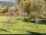 Sale, house, 320m², Danilovgrad, Crna Gora - image 9