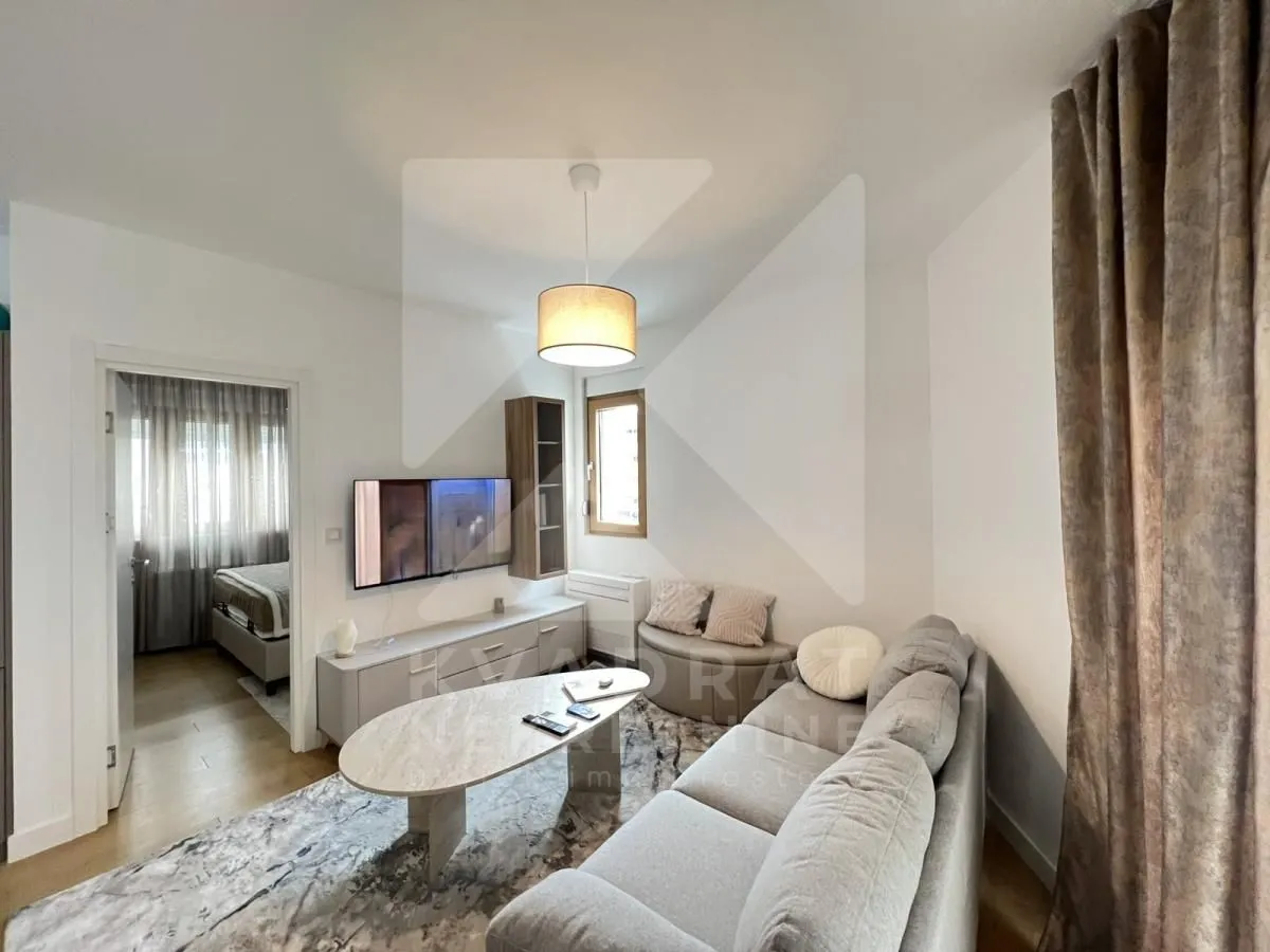 Izdavanje, jednosoban stan, 42m², Tološka šuma, Podgorica