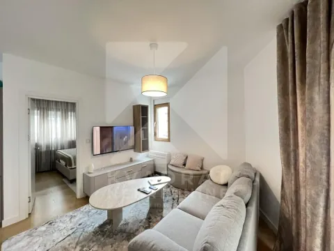 Izdavanje, jednosoban stan, 42m², Kruševac, Podgorica - image 4