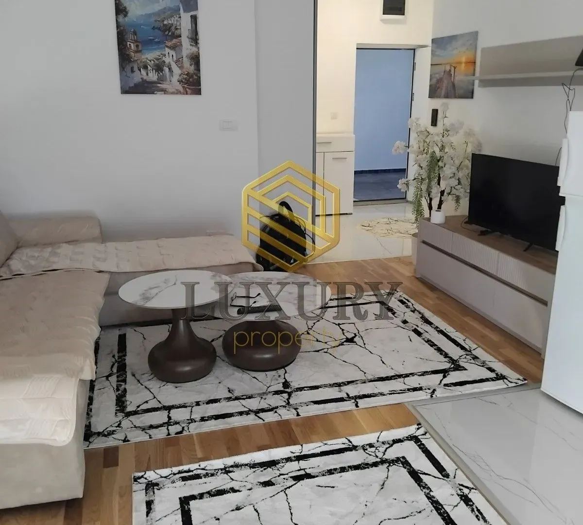 Rent, one bedroom apartment, 47m², Zabjelo, Podgorica