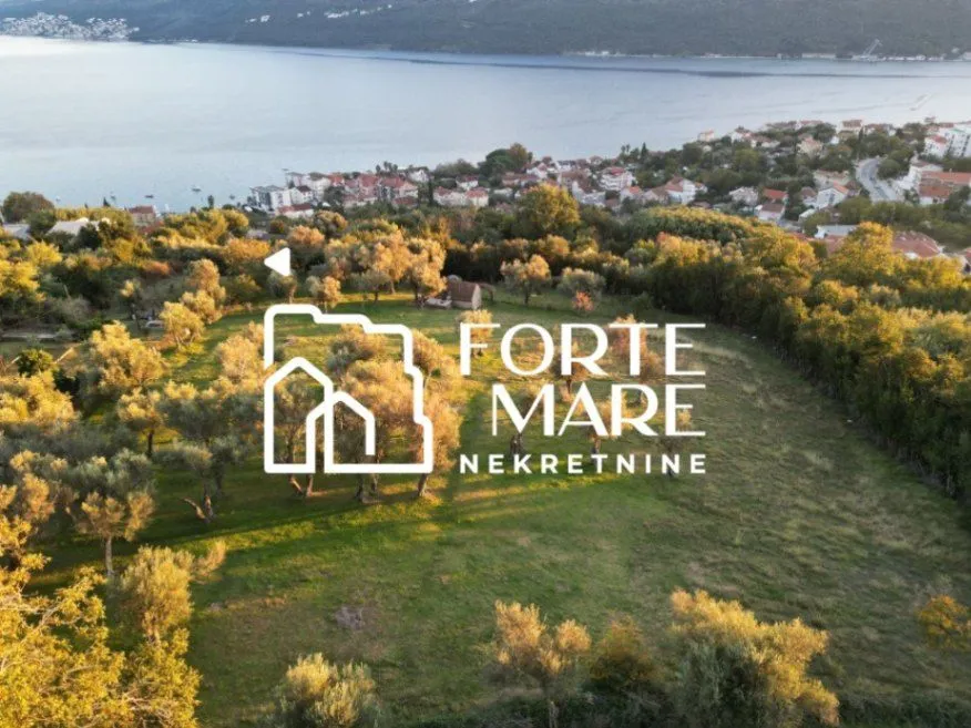 Prodaja, plac, 7560m², Đenovići, Herceg Novi