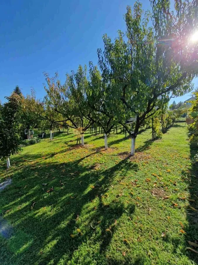 Sale, house, 160m², Čerević, Beočin