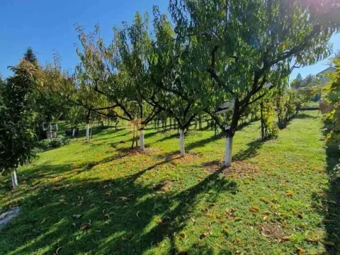 Sale, house, 160m², Čerević, Beočin - image 12