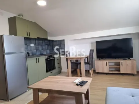 Rent, two bedroom apartment, 40m², Adice, Novi Sad Sve Podlokacije - image 4