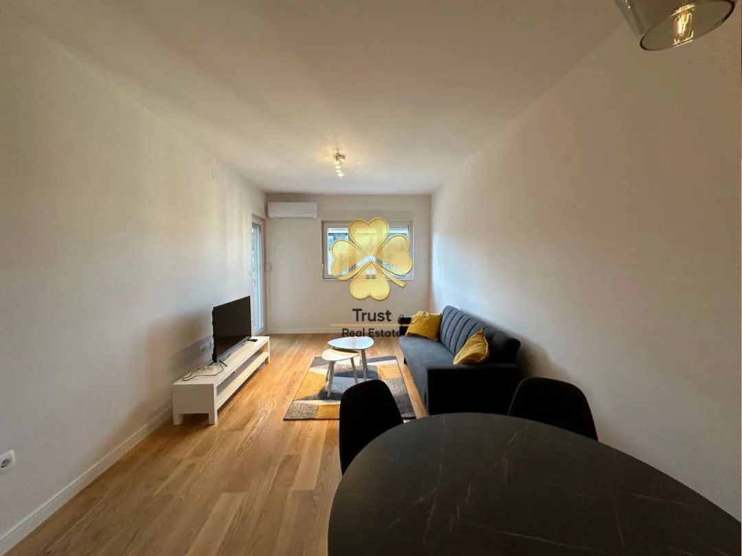 Rent, one bedroom apartment, 47m², Central Point, Podgorica