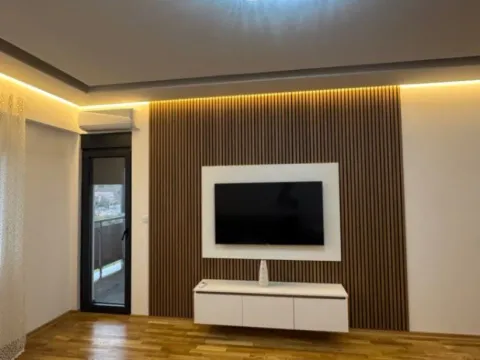 Izdavanje, jednosoban stan, 53m², Zagorič, Podgorica - image 2