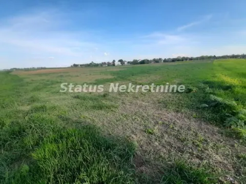 Sale, land lot, 2700m², Kovilj, Novi Sad Sve Podlokacije - image 4