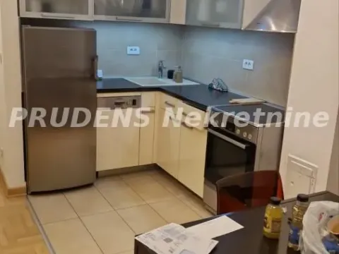 Izdavanje, dvosoban stan, 50m², Vračar Sve Podlokacije, Beograd - image 3