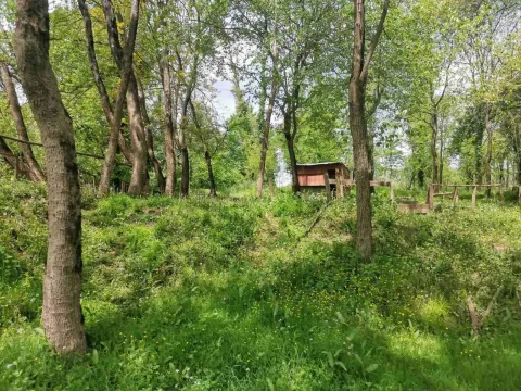 Zeleni plac okružen drvećem sa malim pomoćnim objektom. - image 7