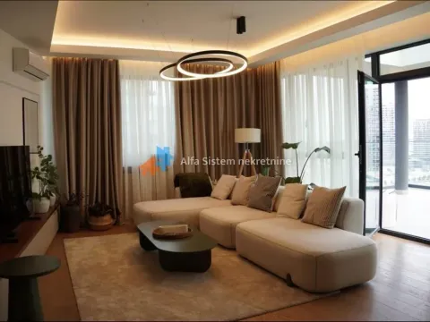 Izdavanje, stan, 200m², Savski Venac, Beograd - image 7