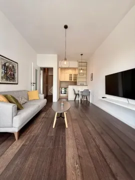 Rent, one bedroom apartment, 48m², Vezirov Most, Podgorica - image 3