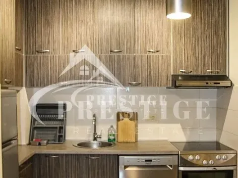 Izdavanje, jednosoban stan, 43m², Stari Aerodrom, Podgorica - image 10