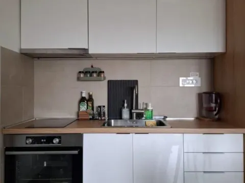 Izdavanje, dvosoban stan, 40m², Dušanovac, Voždovac Sve Podlokacije - image 4