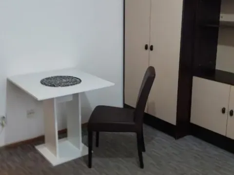Rent, studio apartment, 21m², Liman 1, Novi Sad Sve Podlokacije