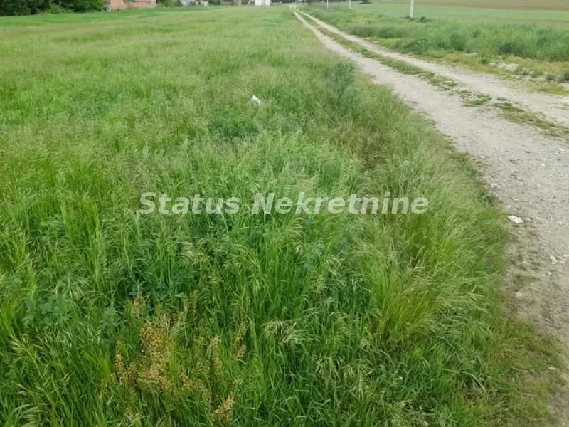 Prodaja, plac, 3381m², Futog, Novi Sad Sve Podlokacije
