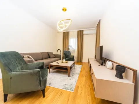 Izdavanje, jednosoban stan, 49m², Central Point, Podgorica - image 1