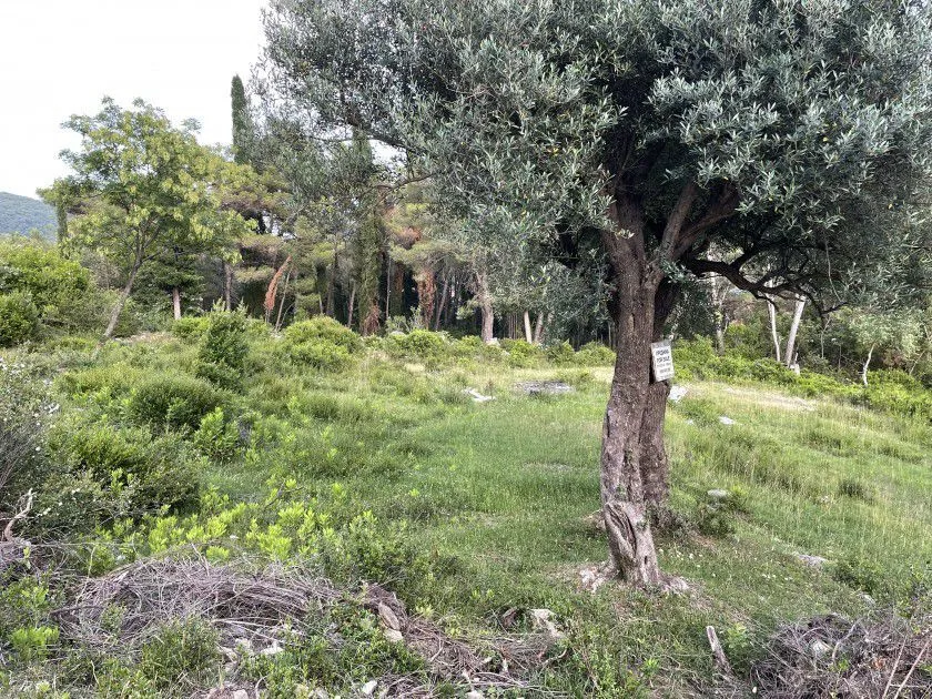 Prodaja, plac, 1353m², Herceg Novi, Crna Gora