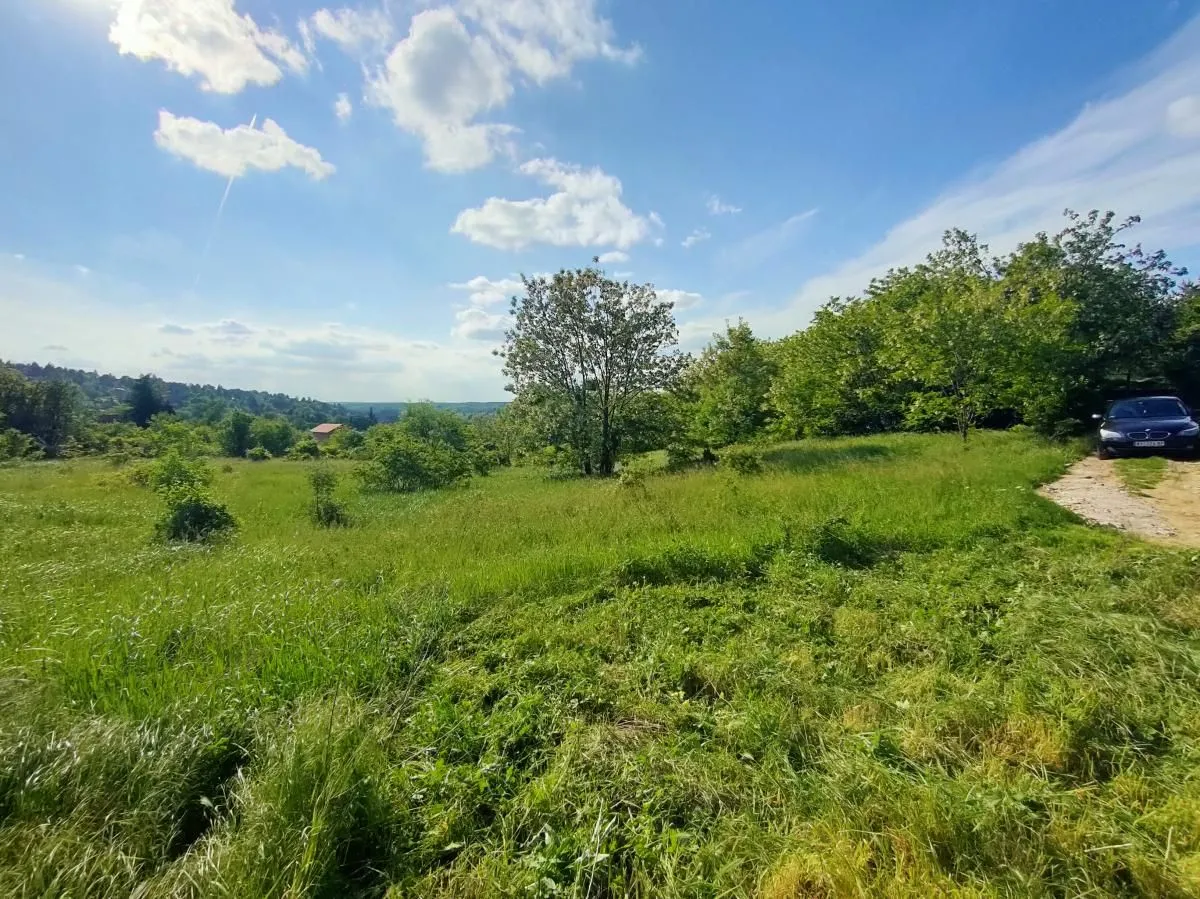 Sale, land lot, 5000m², Ledinci, Petrovaradin