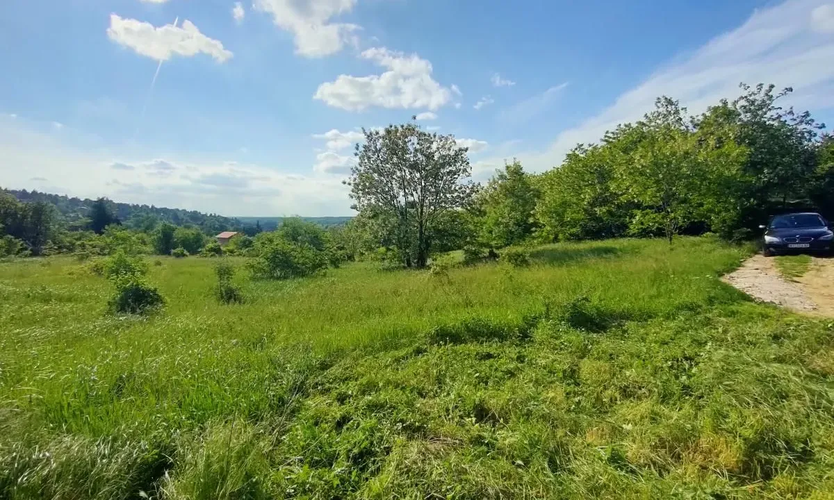 Prodaja, plac, 5000m², Ledinci, Petrovaradin