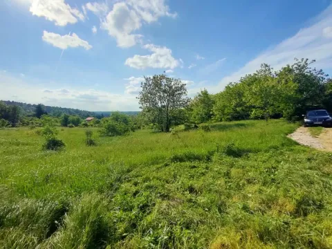 Sale, land lot, 5000m², Ledinci, Petrovaradin - image 1