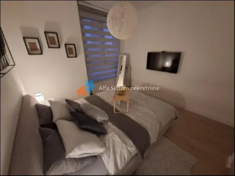 Izdavanje, dvosoban stan, 51m², Savski Venac, Beograd - image 10