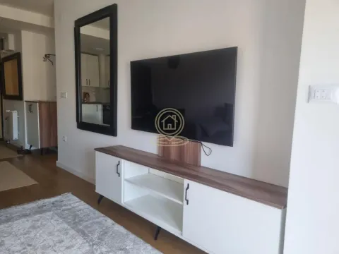 Izdavanje, dvosoban stan, 43m², Autokomanda, Voždovac Sve Podlokacije - image 5