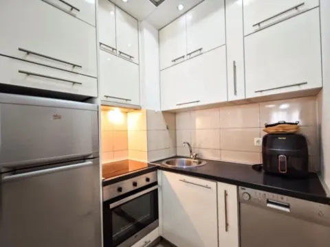 Izdavanje, jednosoban stan, 42m², Ljubović, Podgorica - image 4