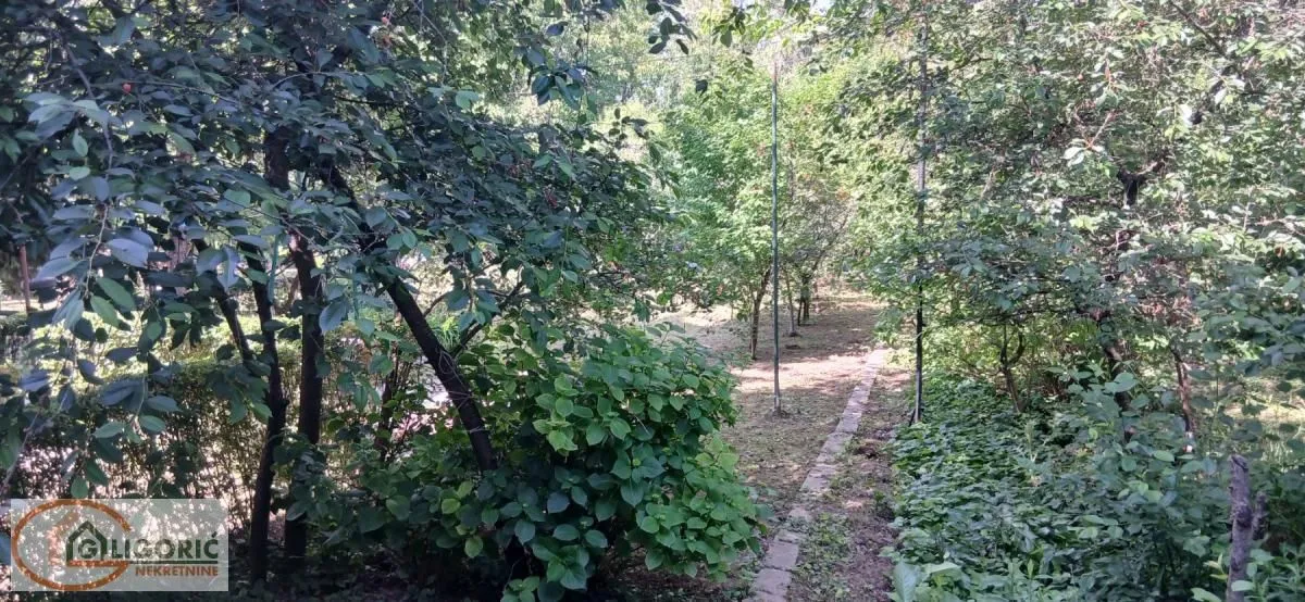 Sale, one bedroom apartment, 27m², Zemun Sve Podlokacije, Beograd