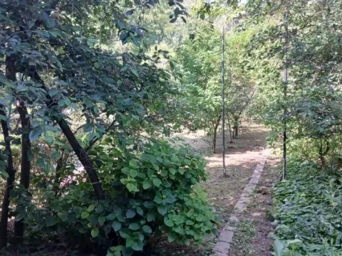 Sale, one bedroom apartment, 27m², Zemun Sve Podlokacije, Beograd - image 9