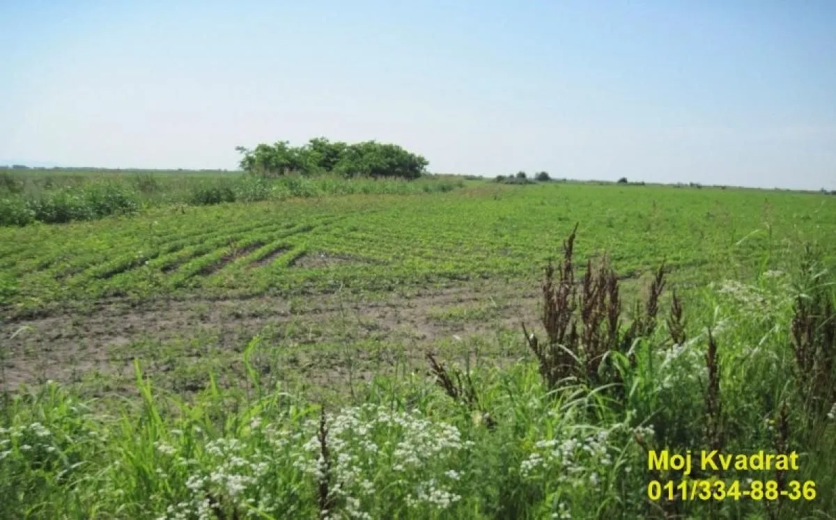 Sale, land lot, 10290m², Erdevik, Šid