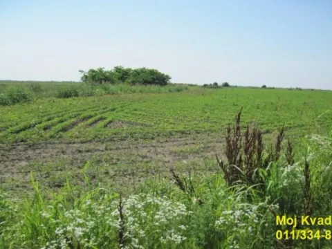 Sale, land lot, 102m², Erdevik, Šid - image 2