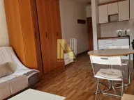 Izdavanje, garsonjera, 25m², Centar, Novi Sad - image 3