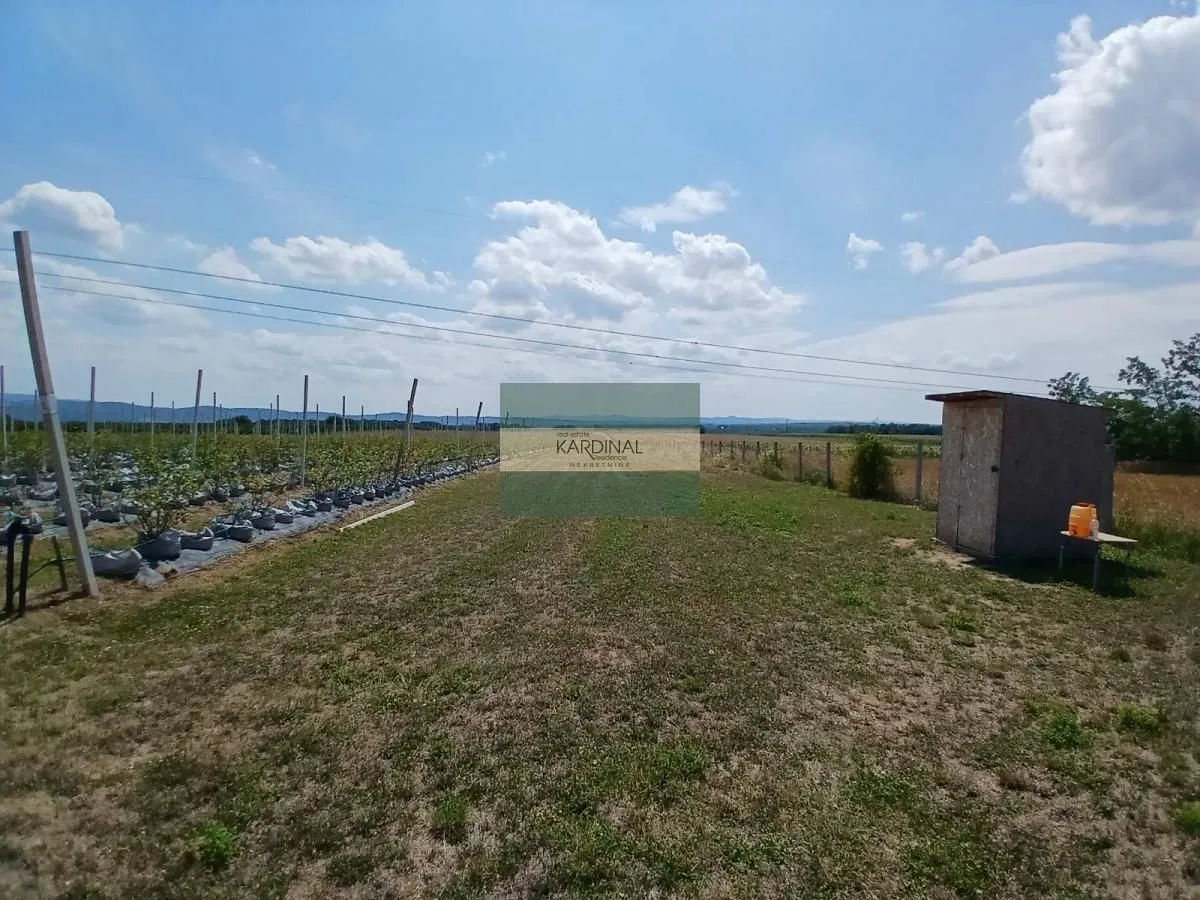 Prodaja, plac, 285100m², Medjureč, Jagodina