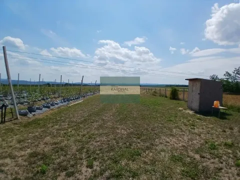 Prodaja, plac, 285100m², Medjureč, Jagodina - image 10