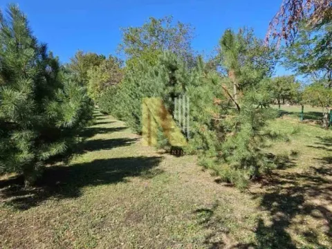 Prodaja, zemljište, 8m2, Alibegovac, Petrovaradin, Novi Sad Prodaja, zemljište, 8m2, Alibegovac, Petrovaradin, Novi Sad