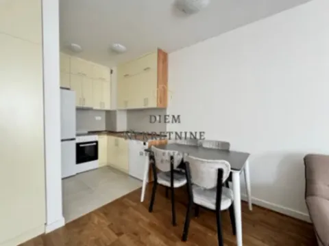 Izdavanje, jednosoban stan, 50m², Stari Aerodrom, Podgorica - image 11