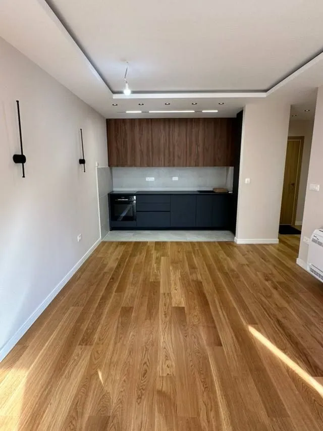 Izdavanje, dvosoban stan, 67m², Central Point, Podgorica